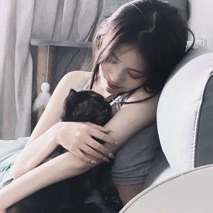 沙漠大冒险:剧集